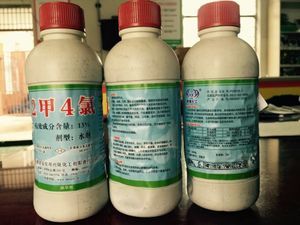 【种子 农药】种子 农药价格/图片_种子 农药批发/采购_种子 农药厂家/供应商