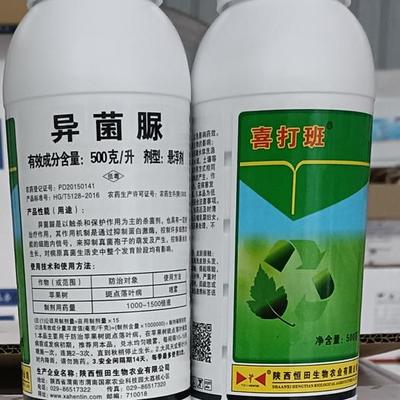 精甲霜灵氰霜唑批发市场